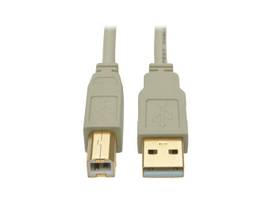 TRIPP LITE USB 2.0 HI-SPEED A/B (M/M) BEIGE 6FT