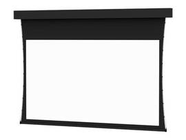 LEGRAND-DA-LITE SCREEN PROFESSIONAL TNSD 188D DM