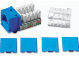 C2G CAT6 KEYSTONE JACK BLUE