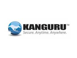KANGURU 1YR USB TO CLOUD LICENSE