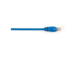 Black Box Connect CAT5e 100 MHz Ethernet Patch Cable UTP PVC Snagless Blue 4 ft.