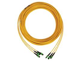 TRIPP LITE FIBER CABLE SMF 3X8F MTP/MPO-APC F/F 30M