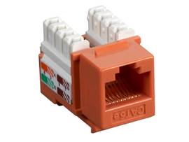 BLACK BOX CORP CAT5E KEYSTONE JACK ORANGE 25 PACK