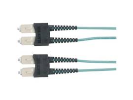BLACK BOX CORP 10 GIG OPTIMIZED FIBER PATCH SC/SC 3M