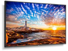 NEC-P555 W/ ERGOTRON 60-614 NEO-FLEX WALL MOUNT UHD
