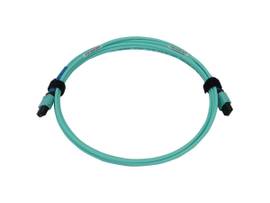 TRIPP LITE FIBER CABLE MMF 24F MTP/MPO-PC F/F 20M