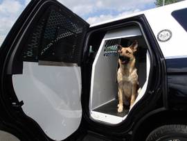 K9,INSERT,EXPD,18-23,