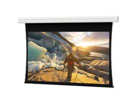 Legrand AV-Da-Lite Tensioned Large Advantage Deluxe Electrol Screen, 275 Inch Di
