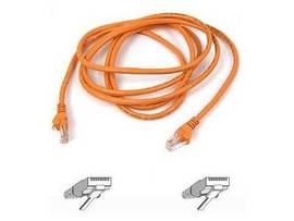CABLE,CAT5E,UTP,RJ45M/M,1 ,ORG,PATCH