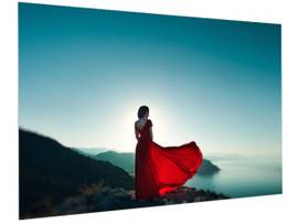FULLVISION PRLX STR 1.0 82D 40.5X72