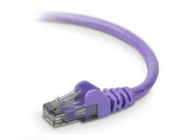 BELKIN CAT6 SNAGLESS PATCH CABLE 2 PURPLE