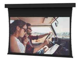 LEGRAND-DA-LITE SCREEN PROFESSIONAL TNSD 298D DV