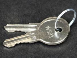 MILESTONE REPLACEMENT KEY