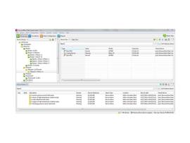 SCHNEIDER DATA CENTER EXPERT: 3 YEAR VIRTUAL SOFTW