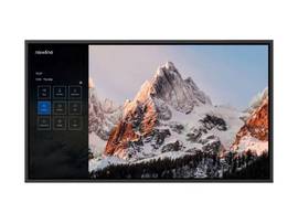 NEWLINE 650NT+ 4K LED COMMERCIAL DISPLAY (NO TOUCH) W/ USB-C (COMING SOON Q1 2023)
