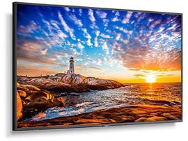 NEC-P555 W/ ERGOTRON 60-604-003 LOW PROFILE WALL MOUNT
