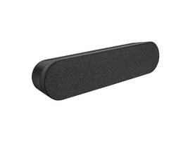 RALLY SPEAKER