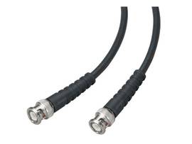 BLACK BOX CORP 59 PVC (CL2), 100-FT. (30 ETN59-0100-BNC