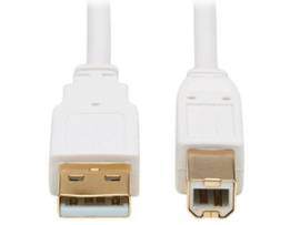 TRIPP LITE USB-A TO USB-B ANTIBACTERIAL CABLE 6FT