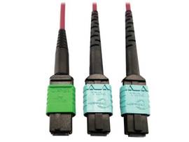 TRIPP LITE FIBER MTP/MPO-APC X2 12F MTP/MPO-UPC 1M