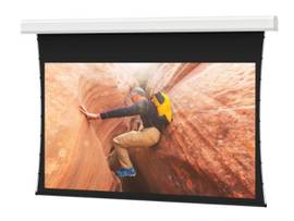 LEGRAND-DA-LITE SCREEN ADVANTAGE TNSD 298D PRLX STR 1.0