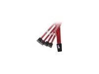 .5M INT SATA CBL