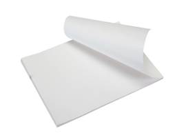 BROTHER MOBILE PERMIUM PAPER,FANFOLDED,1000 SHEETS