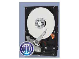 WD BLUE 3.5IN 1000GB WRNTY 2Y