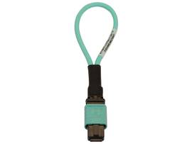 TRIPP LITE FIBER CABLE TESTER MMF 12FMTP/MPO FEMALE
