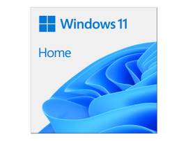 WIN HOME 11 64-BIT ALL LNG PK LIC ONLINE DWNLD NR