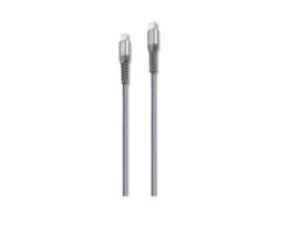 TARGUS ISTORE ALUMINUM USB-C TO LIGHTNING