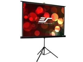 TRIPOD/PORTBL SCRN 119IN(1:1)84X84