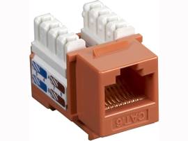 BLACK BOX CORP CAT6 KEYSTONE JACK ORANGE 25 PACK
