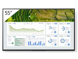 SONY 55IN BRAVIA 4K HDR PROFESSIONAL DISPLAY