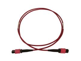 TRIPP LITE FIBER CABLE 100G OM4 12F MTP/MPO-PC 20M
