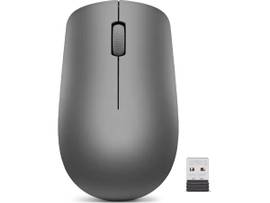 530 WIRELESS MOUSE (GRAPHITE) BATTERY