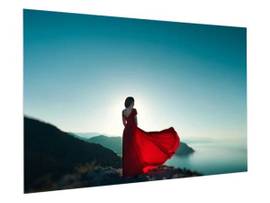 Projection Screen - Aluminum - Low-profile installation of only 1-3/16 deep; Sur