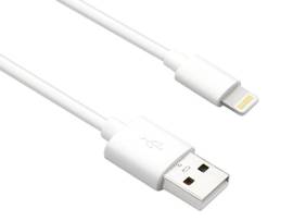 AXIOM LIGHTNING TO USB-A M/M ADAPTER CABLE - WHITE 6FT