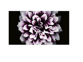 SAMSUNG WALL LED CABINET 1.68MM PIXEL PITCH