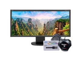 MULTISYNC 29 ULTRAWIDE DESKTOP MNTR