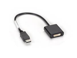 BLACK BOX CORP SPLAYPORT TO DVI-DADAPTER EVNDPDVI-MF-R3
