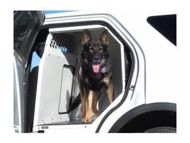 K9, INSERT, K9-PT, INUT, 13-19, SP,