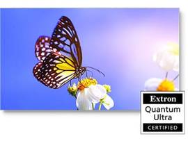 SHARP NEC UN552, 55IN LED LCD, S-IPS, 1920X1080 (FHD), 28% HAZE, 500NITS, ULTRA NARROW BEZEL, PUBLIC DISPLAY MONITOR, HDMI X2, USB MEDIA PLAYER