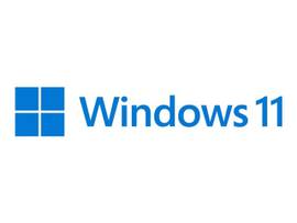 WIN 11 HOME 64BIT ENGLISH 1PK DSP OEI DVD
