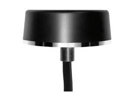 Collie Series 5-in-1 Antenna
