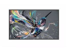 DISPLAY 43IN PROSUMER 4K ULTRA HD 350