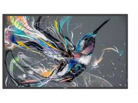 65IN PROSUMER DISPLAY 4K ULTRA HD 400