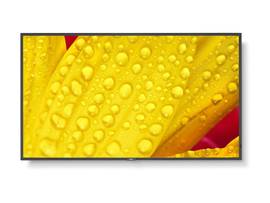 SHARP NEC 65IN PROFESSIONAL DISP, 4K UHD,24/7,500NITS, LANDSCAPE/PORTRAIT,HDMI IN X2,HIGH HAZE ANTI REFLECTIVE,METAL CHASSIS,SDM COMPATIBLE