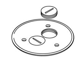 LEGRAND-WIREMOLD BRASS CPT SCREW PLUG PLT