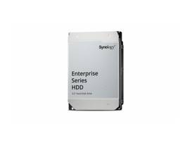 SYNOLOGY 20TB 3.5IN SAS ENTERPRISE SERIES HARD DRIVE